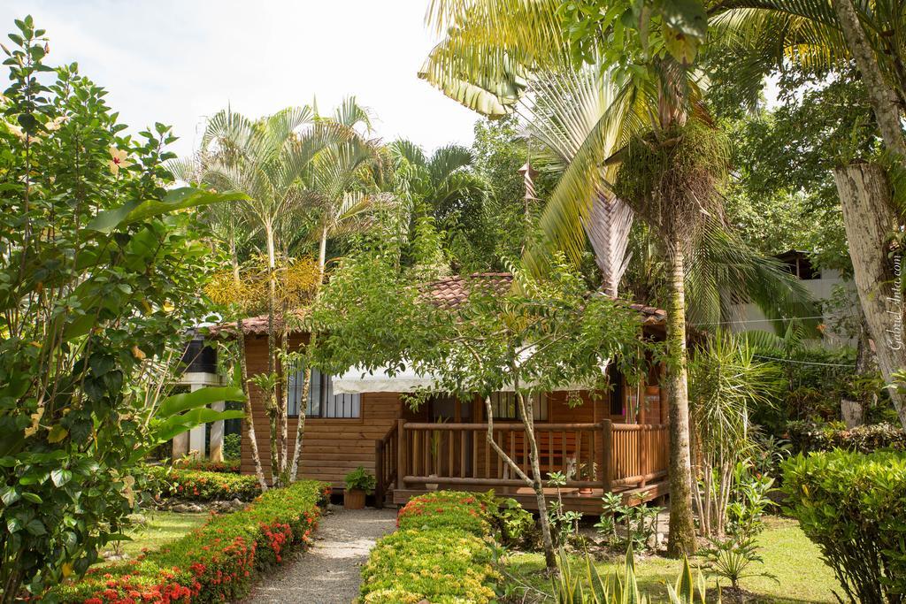 Casa Marcellino Lodge Cahuita Exterior foto